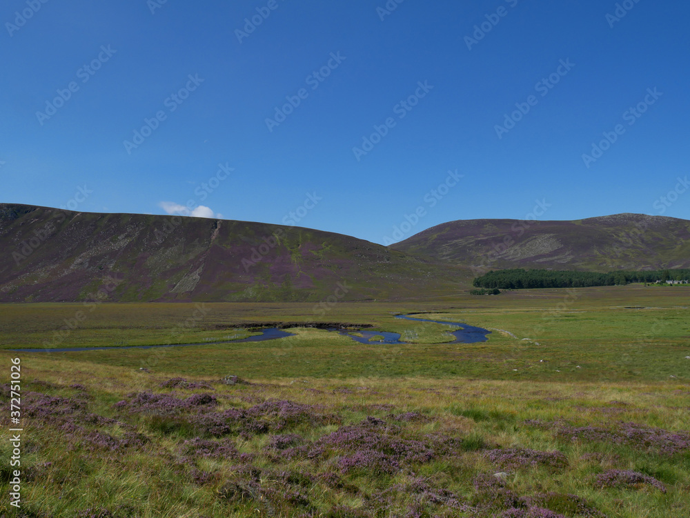 river on a green meadow, hills at the distance with blue sky