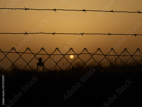 sunset behind a wire fence