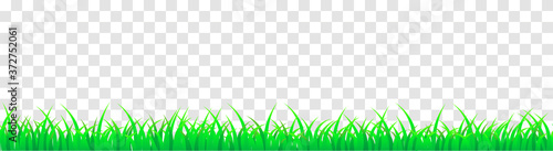 Panoramic seamless green grass. Vector cartoon illustration for footer and design isolated on transparent background.