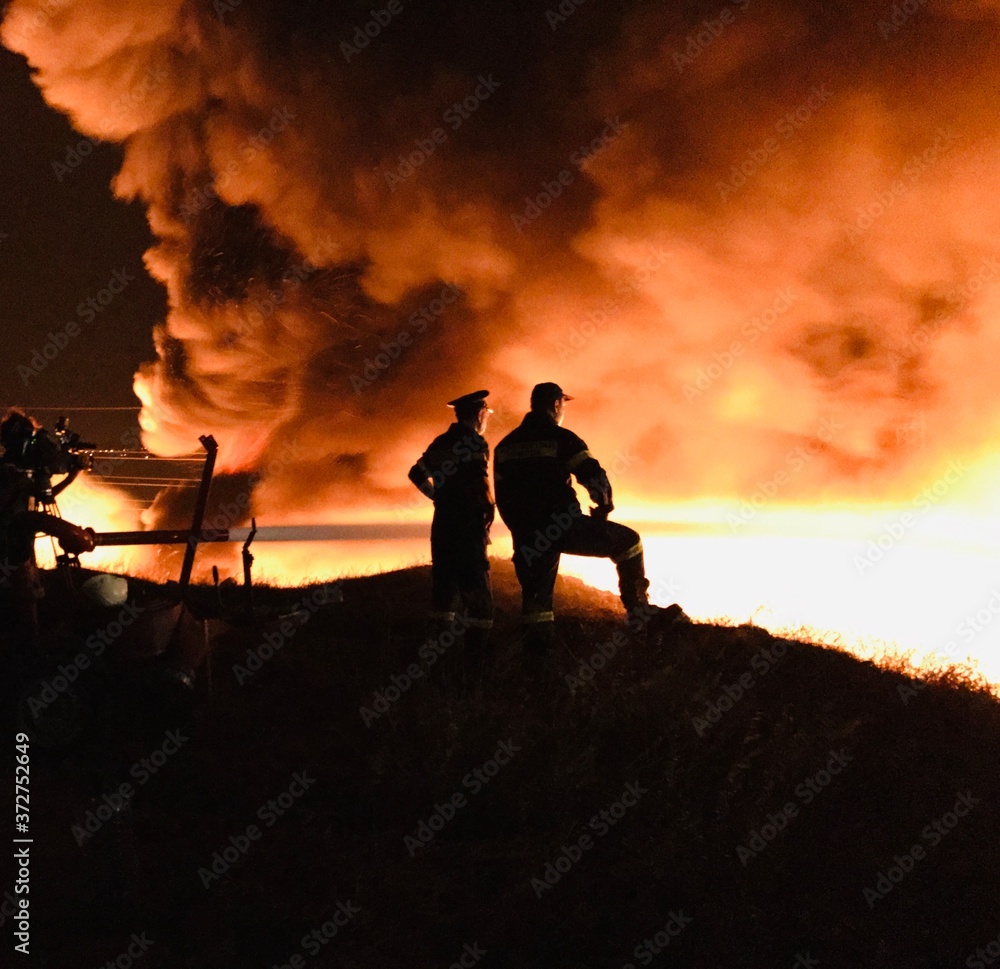 Fototapeta premium wild fire