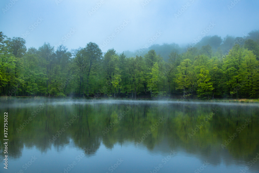 lake with forest