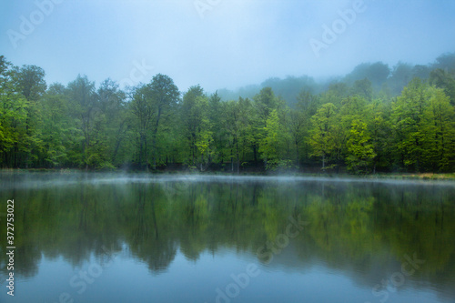 lake with forest