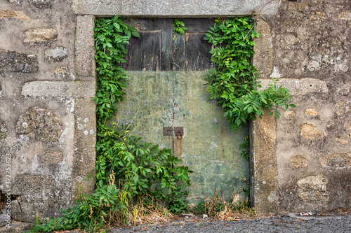 Weathered And Derelict Doors With Green Overgrowth, Braga, Portugal