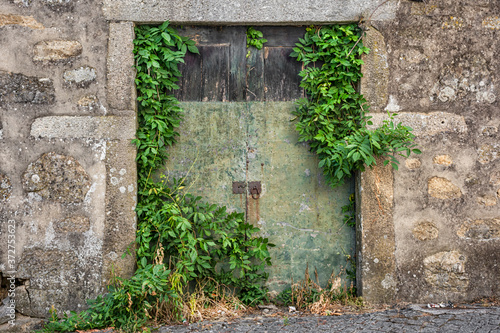 Weathered And Derelict Doors With Green Overgrowth, Braga, Portugal