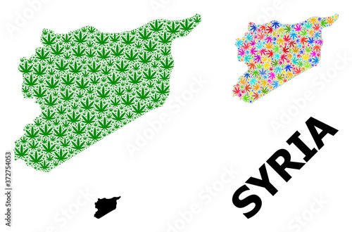 Vector Collage Map of Syria of Colorful and Green Weed Leaves and Solid Map