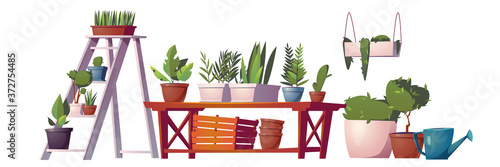 Greenhouse plants, orangery or floristic store interior stuff, garden rack with potted flowers, wooden table, boxes and hanging shelf, watering can and pot with green tree. Cartoon vector illustration