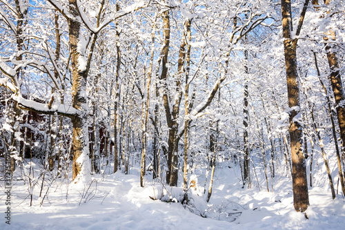 Mankinjoki rapids area in winter, Espoonkartano, Espoo, Finland photo