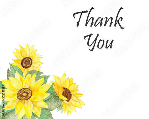 Fototapeta Naklejka Na Ścianę i Meble -  Watercolor hand painted nature garden floral composition with three yellow and black seeds sunflowers, green leaves bouquet and thank you text on the white background for greeting cards