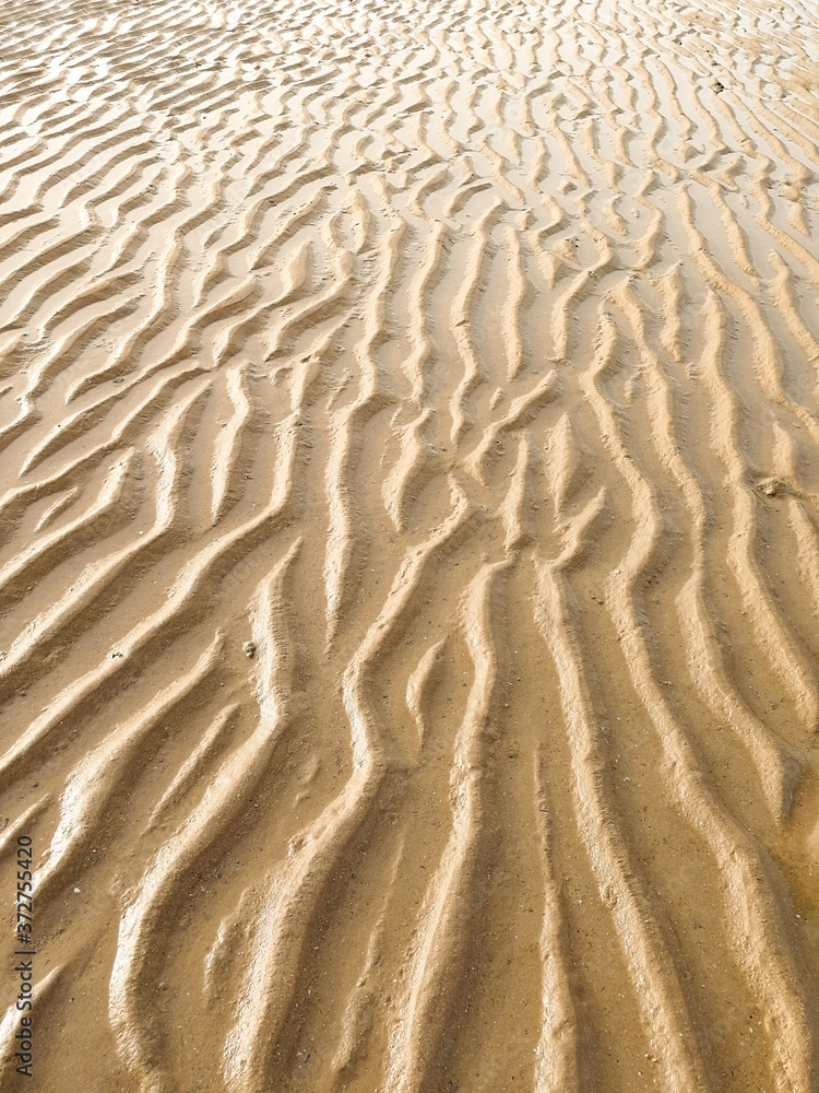 Vertical high angle shot of natural traces on the sand Vertical high angle shot of natural traces on the sand