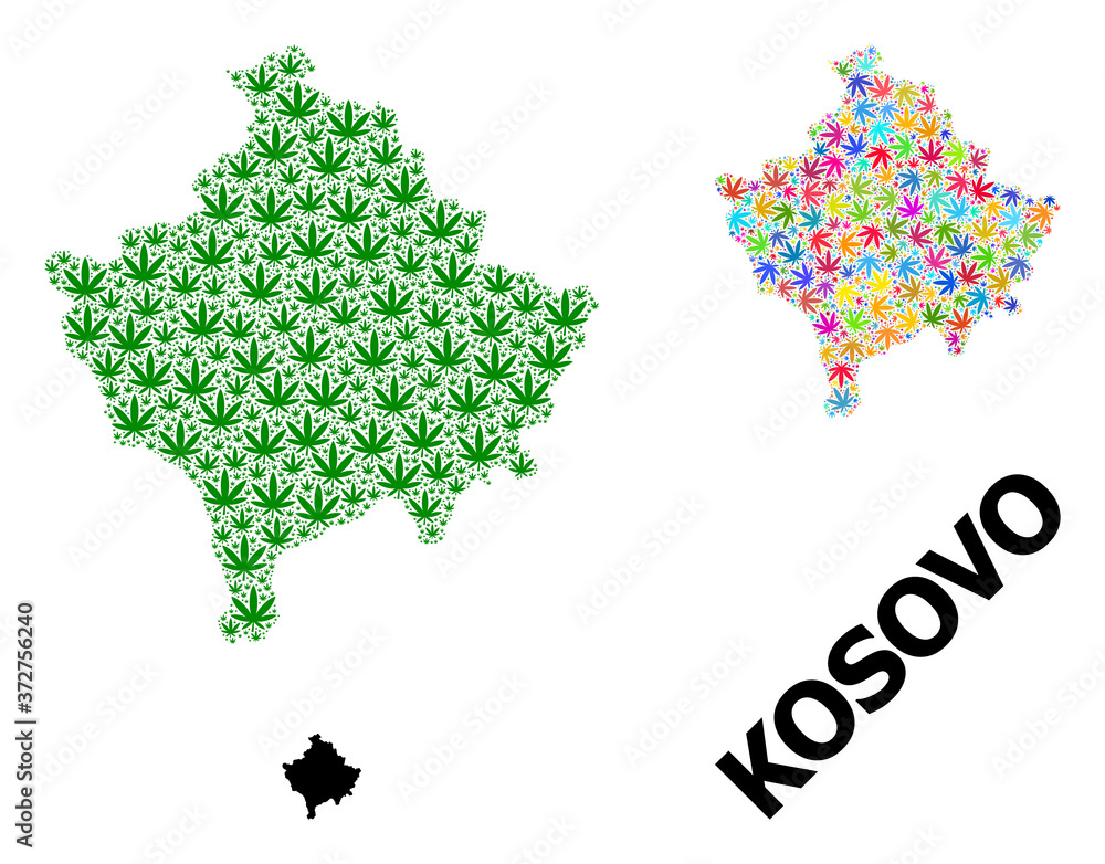 Vector Mosaic Map of Kosovo of Colored and Green Cannabis Leaves and Solid Map