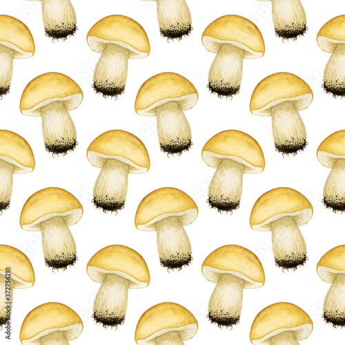 Watercolor seamless pattern with forest edible porcini/cep mushroom, cooking ingredient. Natural background with hand drawn elements for design print, textile, fabric, wrapping paper, scrapbooking