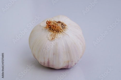 Close up of a garlic on white background. 