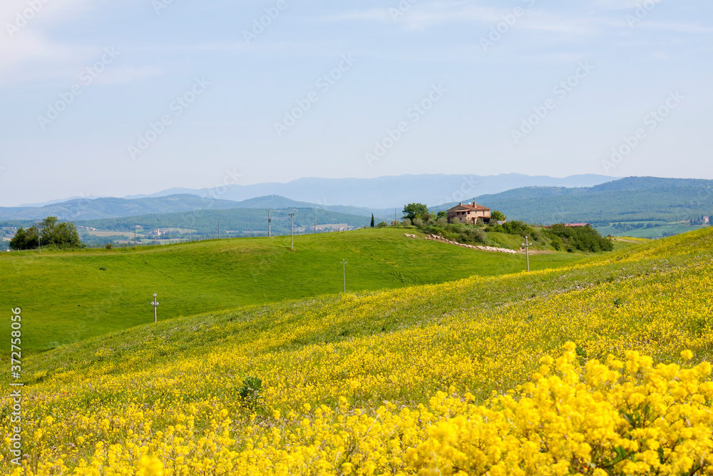 Toskana im Frühling