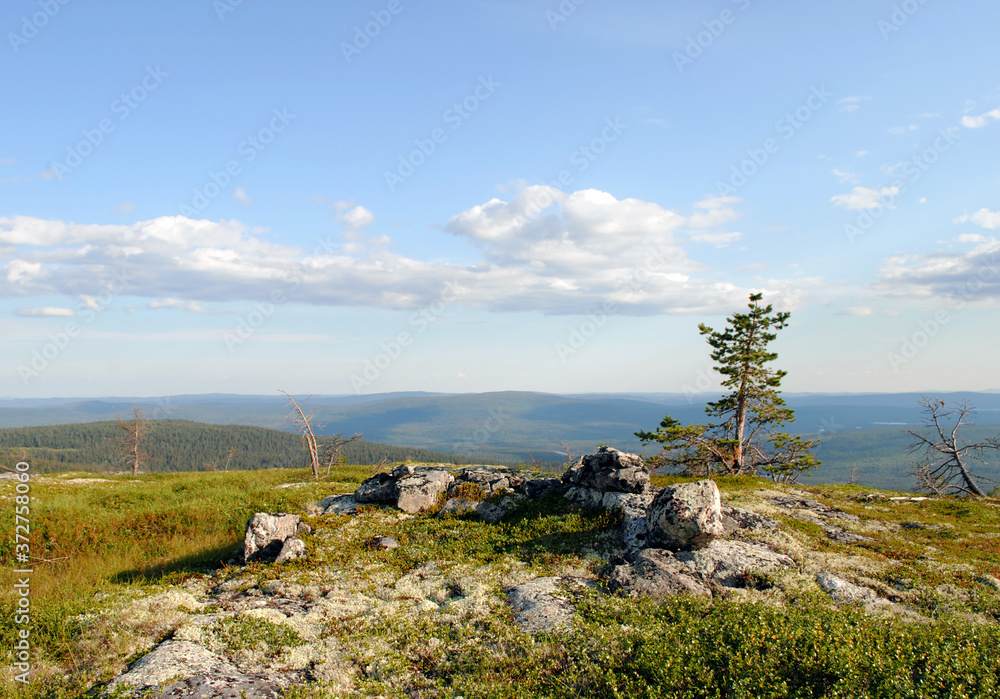 Fototapeta premium World War II outpost ruins on Karelian hills