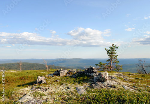 World War II outpost ruins on Karelian hills