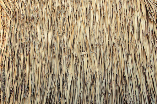 Fototapeta Hay stack from dry grass and straw or thatch texture background.