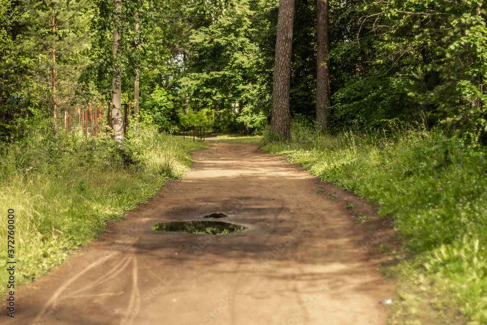 Obraz premium path in the park
