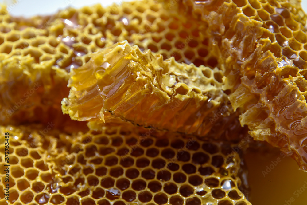 Beautiful juicy honey in a honeycomb.