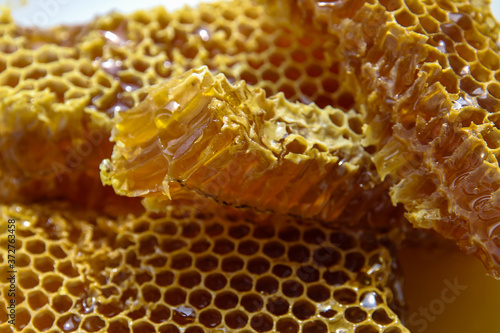 Beautiful juicy honey in a honeycomb.