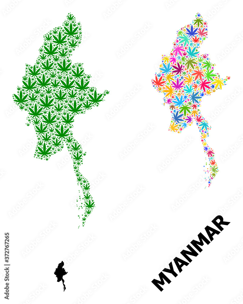 Vector Mosaic Map of Myanmar of Colorful and Green Cannabis Leaves and Solid Map