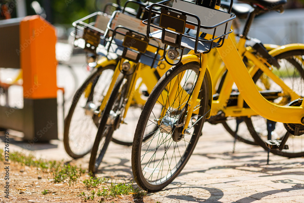 Obraz premium bikes to rent in the parking lot in the city