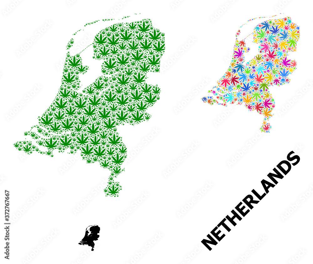 Vector Collage Map of Netherlands of Psychedelic and Green Hemp Leaves and Solid Map