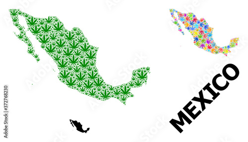 Vector Collage Map of Mexico of Colored and Green Hemp Leaves and Solid Map