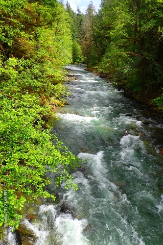 Nature lover, outdoor adventurer!