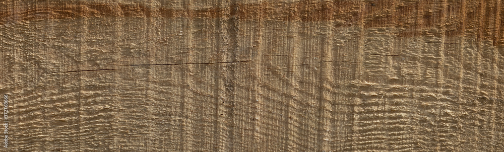 Background texture of natural spruce planed board. Top view background banner Background texture of natural spruce planed board. Top view background banner