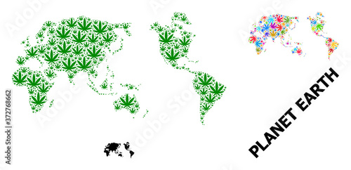 Vector Mosaic Map of Earth of Colorful and Green Cannabis Leaves and Solid Map