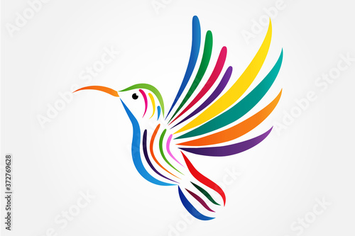 Logo hummingbird flying colorful icon vector