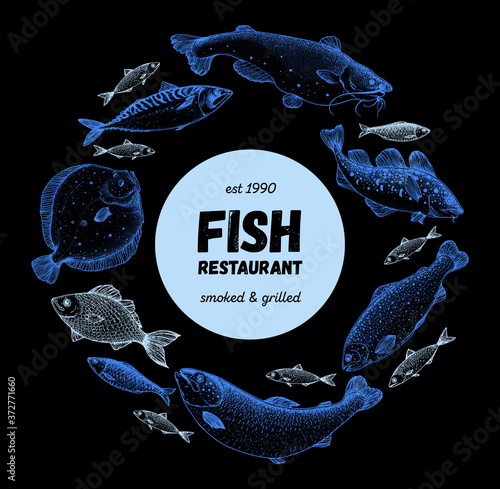 Fish sketch collection. Hand drawn vector illustration. School of fish vector illustration. Food menu illustration. Hand drawn fish set. Engraved style. Sea and river fish logo.
