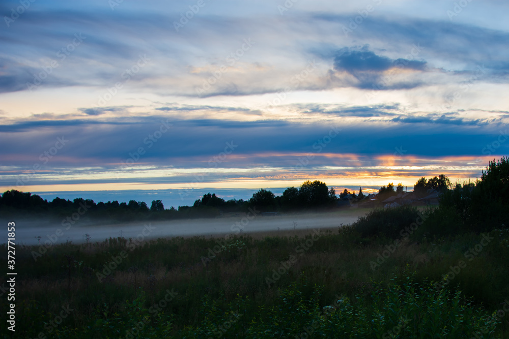 Fog over a field in a village on a summer evening. Low depth of field