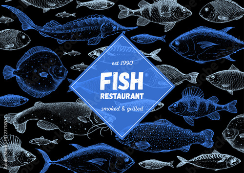 Fish sketch collection. Hand drawn vector illustration great for package or menu design. Seafood fish pattern. Leaflet, brochure, booklet design template. Black and white engraved style.