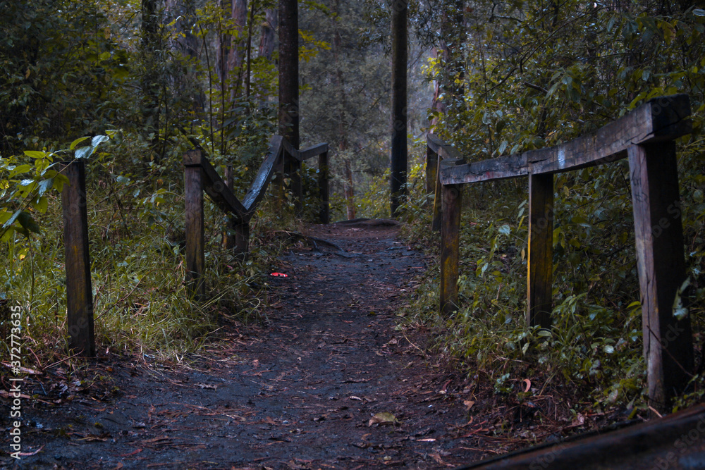 old wooden bridge in the woods old wooden bridge in the woods