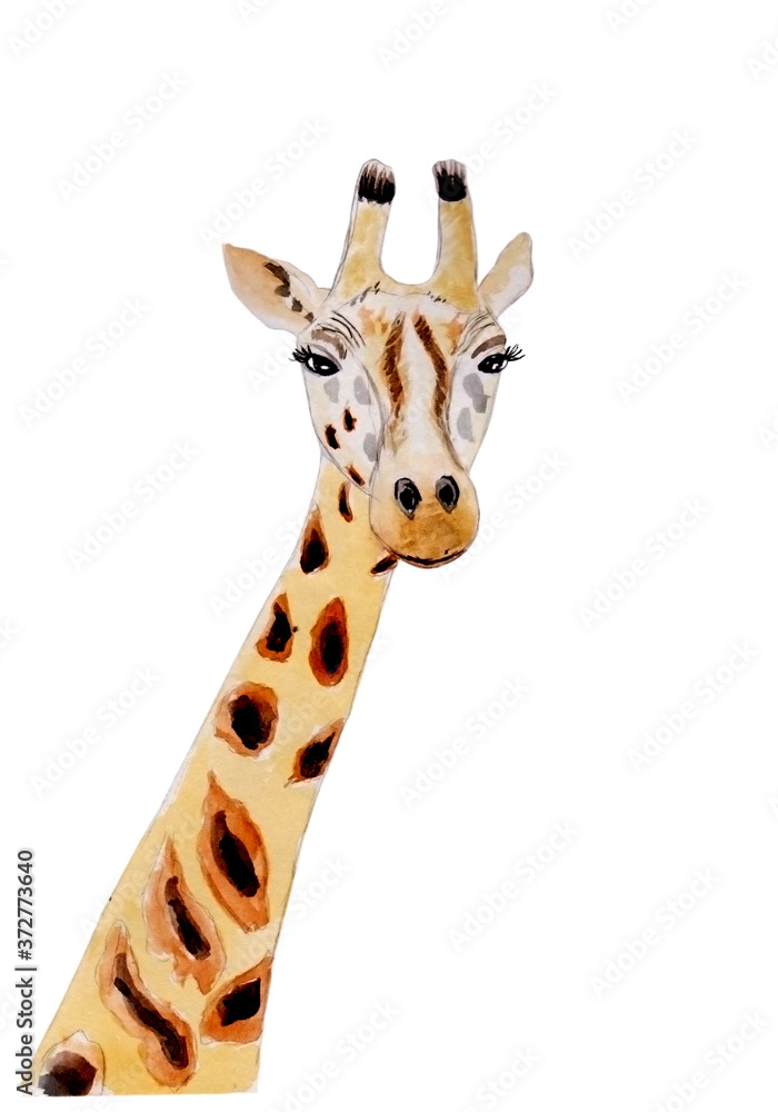 Fototapeta premium Watercolor drawing of a orange giraffe for fanny kid design on a white background