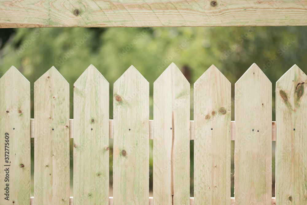 Spring grass and wooden fence in the garden Spring grass and wooden fence in the garden