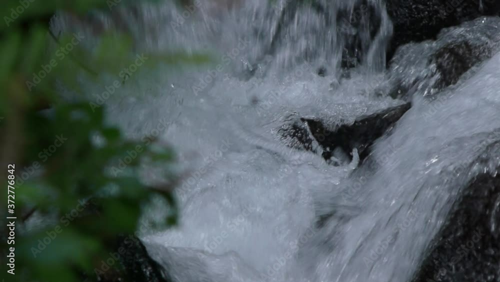 waterfall in the forest waterfall in the forest