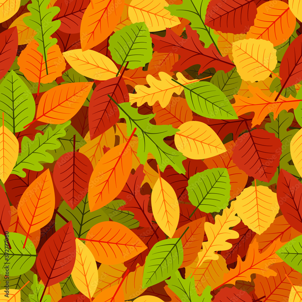 Autumn fallen leaves. Seamless vector background. Colored natural designs for autumn backgrounds and covers.