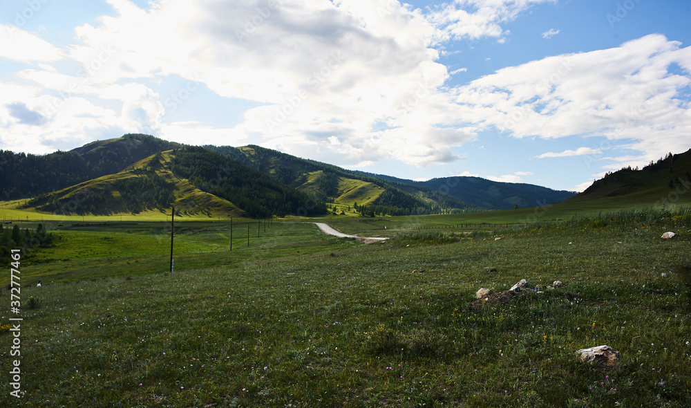 Fototapeta premium Untouched nature of Altai mountains, Russia