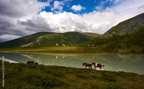 The beauty of Lake Akemskoye at the foot of Belukha, Altai Mountains Russia