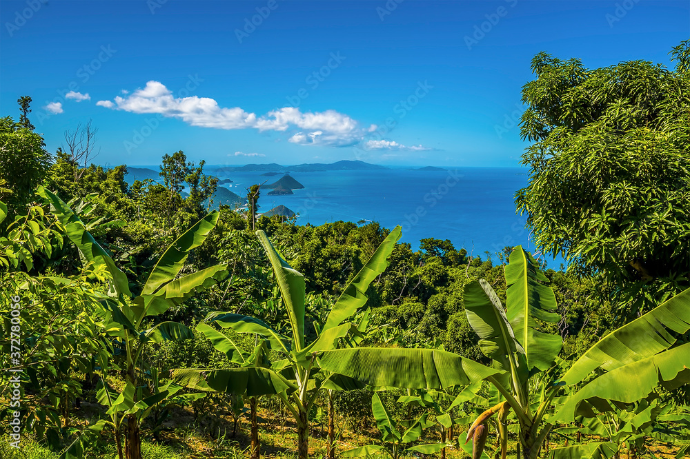 Lush vegetation slopes down toward the sea and the conical islands of northern Tortola Lush vegetation slopes down toward the sea and the conical islands of northern Tortola