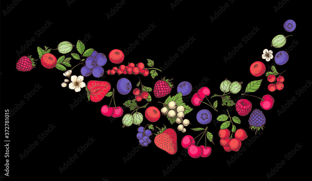 Berries collection. Hand drawn vector illustration. Food illustration. Hand drawn berry set. Colorful illustration. Berries collection. Hand drawn vector illustration. Food illustration. Hand drawn berry set. Colorful illustration.