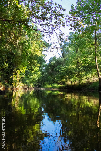 reflection in the water