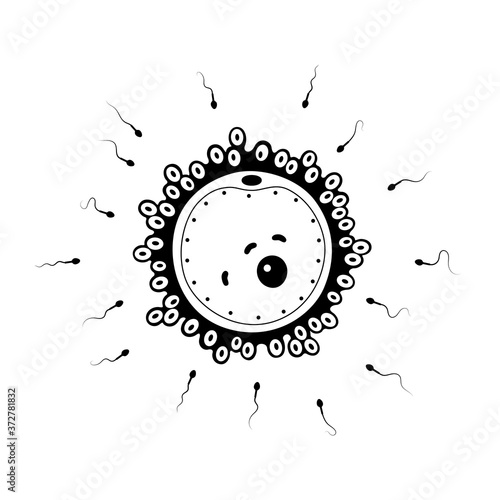 In vitro fertilisation concept