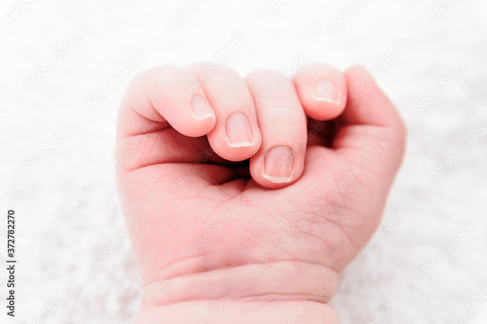 Newborn hand close up on white background. Baby body part concept. Newborn hand close up on white background. Baby body part concept.