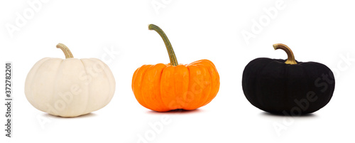 Three Halloween pumpkins isolated on a white background. White, orange and black.