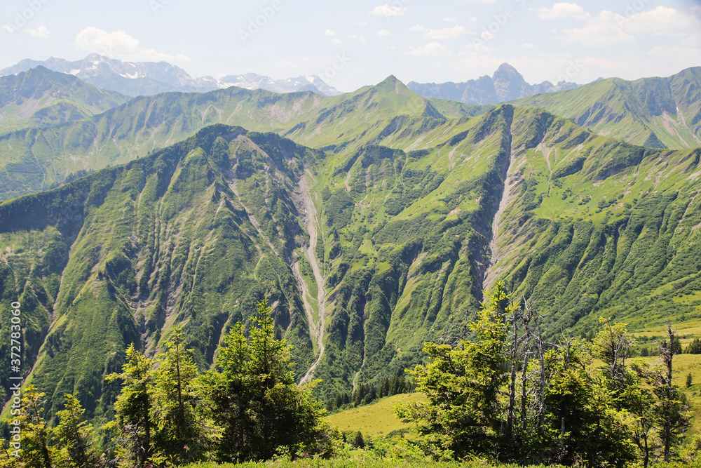 Panorama of the Alps opening from Muttelberghof, Austria