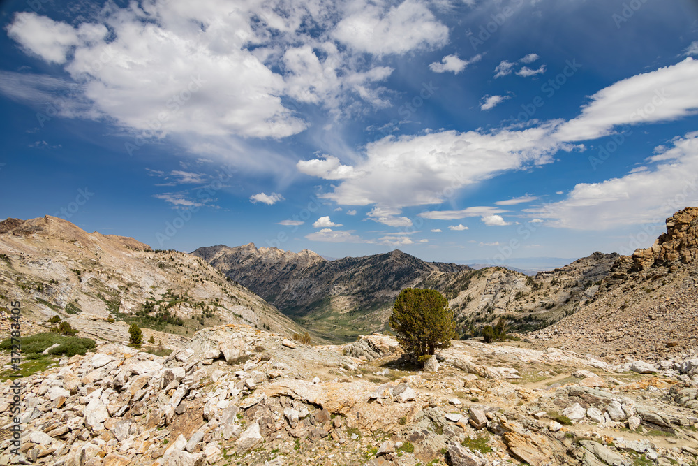 Morning view of the beautiful landscape around the Ruby Crest Trail