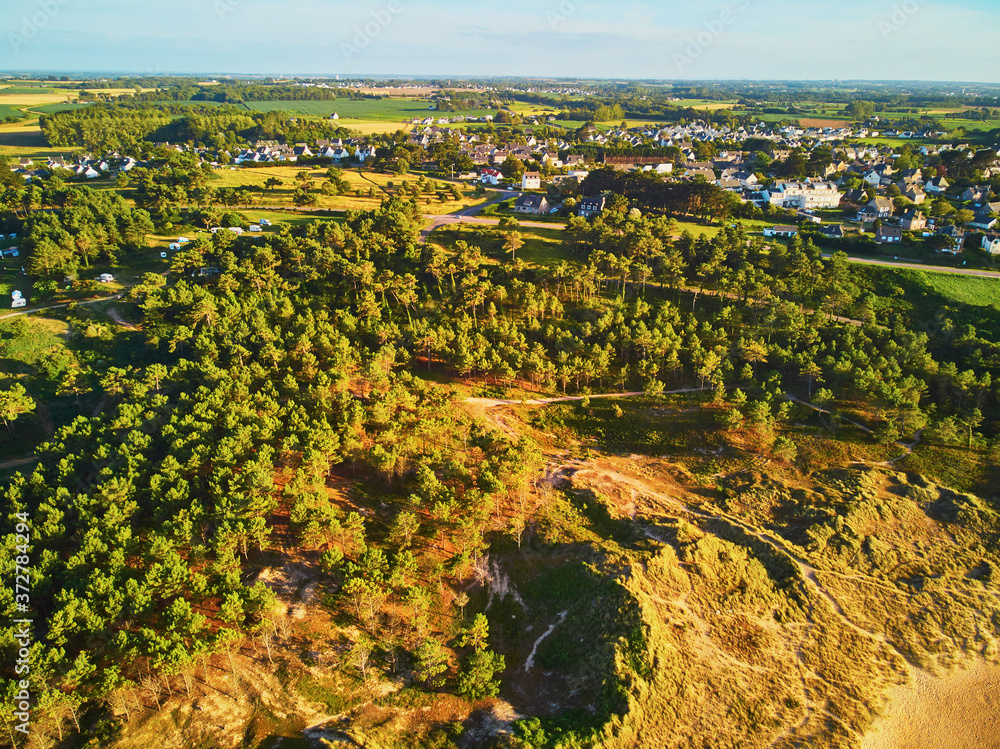 Aerial drone view of pine forest on a sand dune in Brittany, France